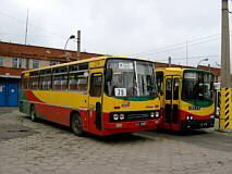 Foto: Wojciech Turzanski