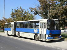 Fot�: �cs Attila