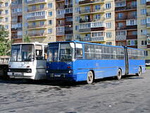Foto: Konstantin Zhukov