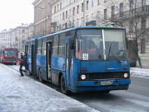 Foto: Konstantin Zhukov